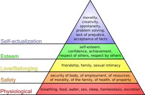 Maslow's_hierarchy_of_needs5